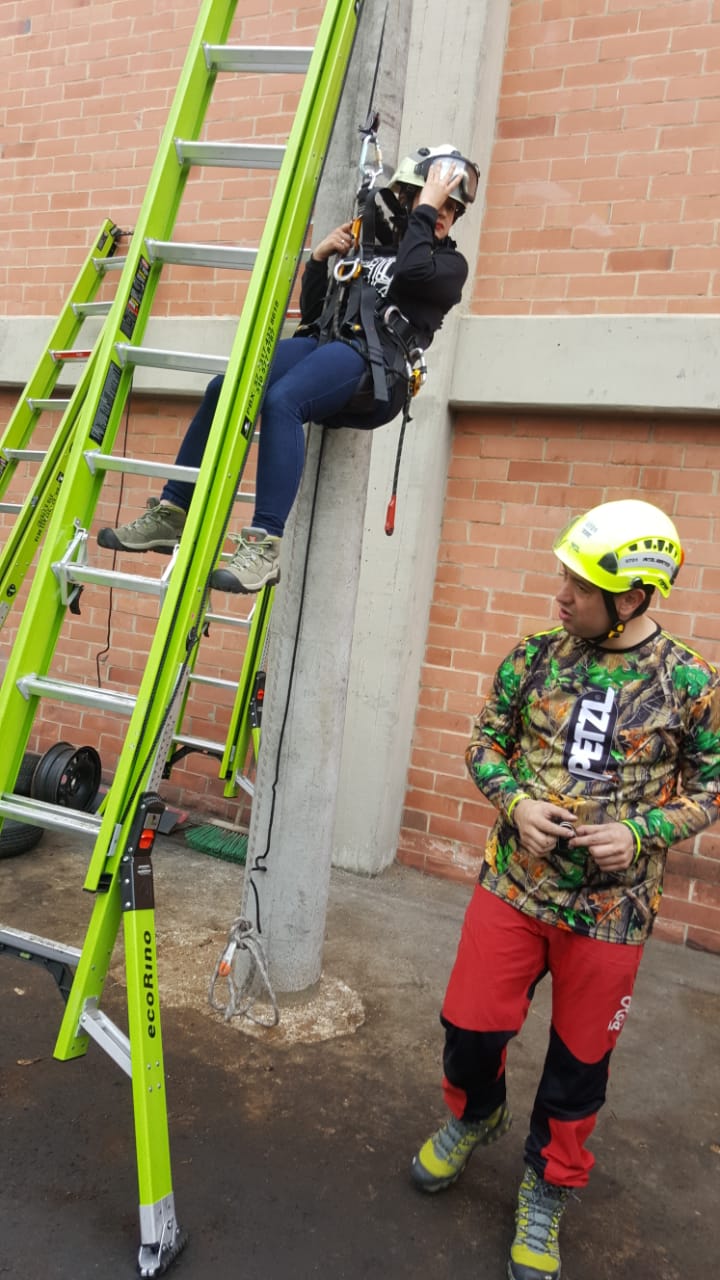 Escalera Ecorino de Fibra de Vidrio – Nivelación Lateral y Vertical, Segura y Liviana