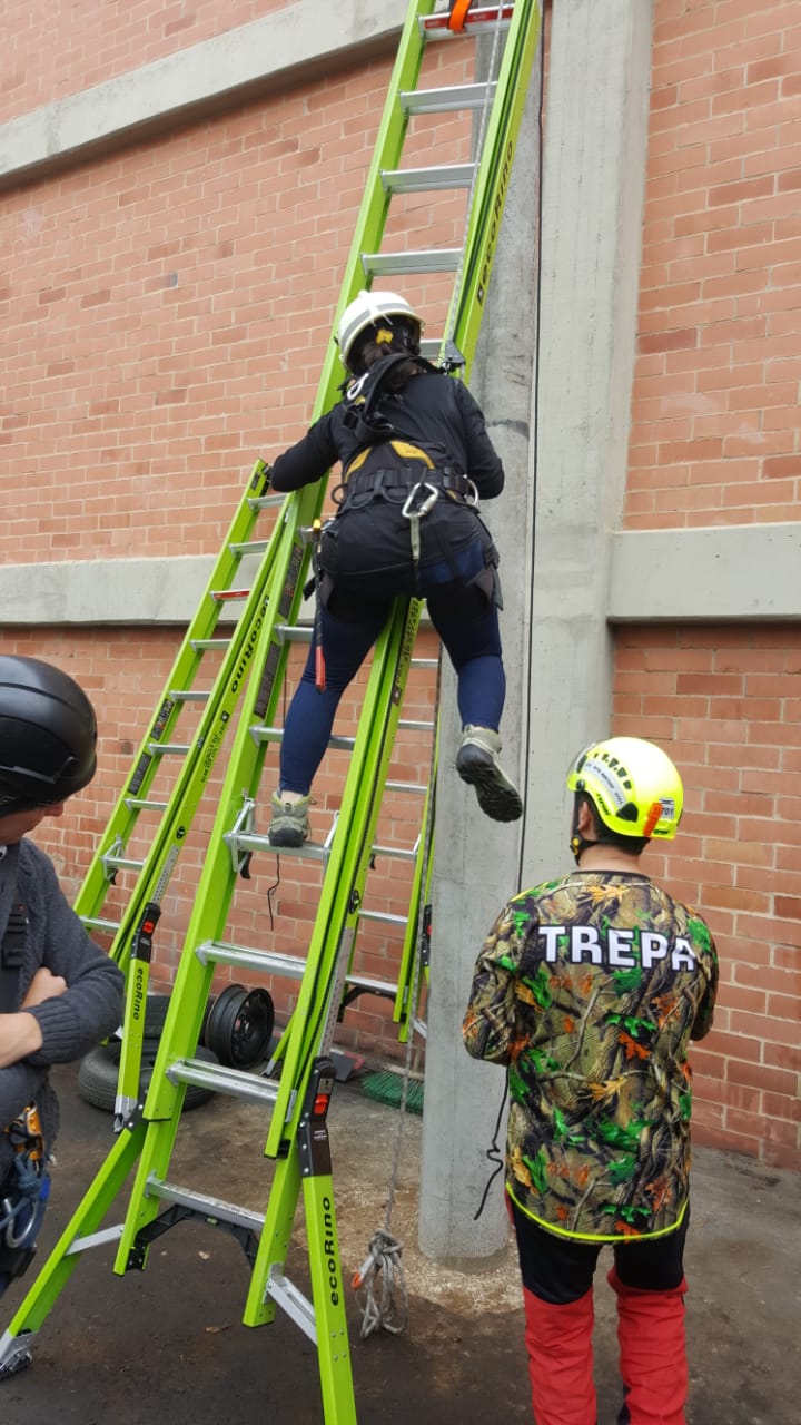 Escalera Ecorino de Fibra de Vidrio – Nivelación Lateral y Vertical, Segura y Liviana